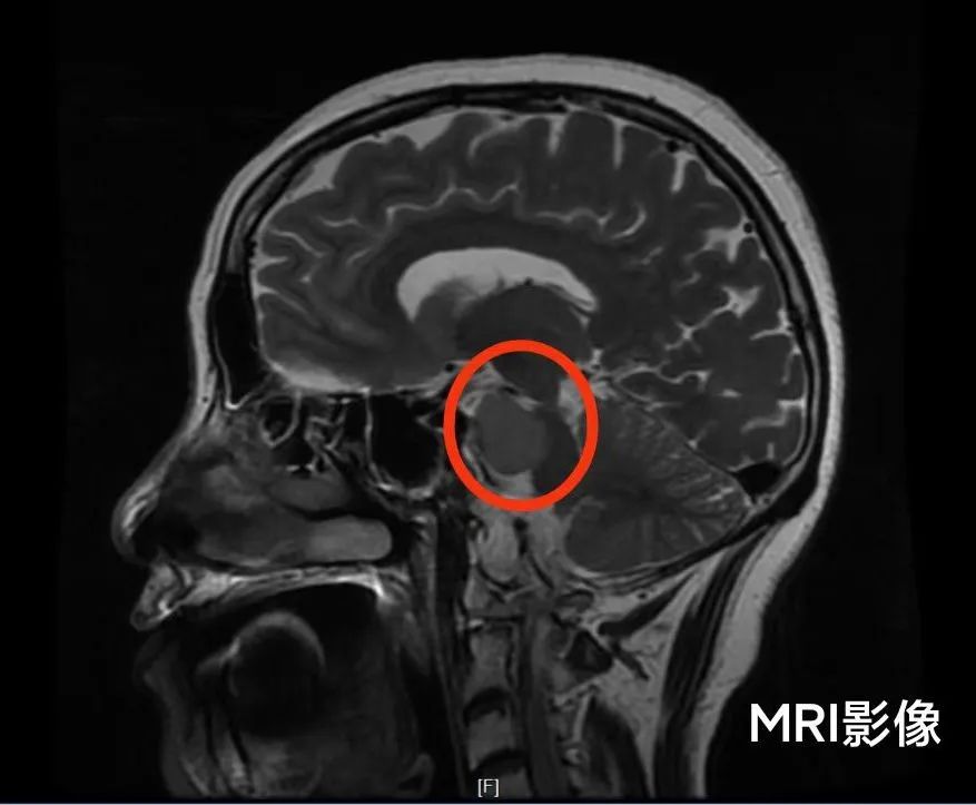 皇冠上的明珠劳斯莱斯,皇冠上的明珠原文