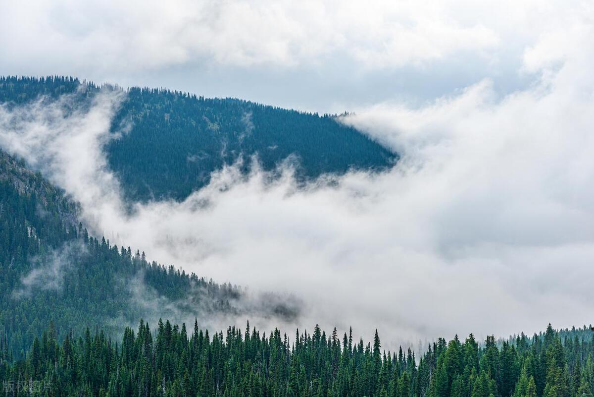 身体湿气重吃哪些药可以排出湿气,夏天湿气重这6种食物有助祛湿