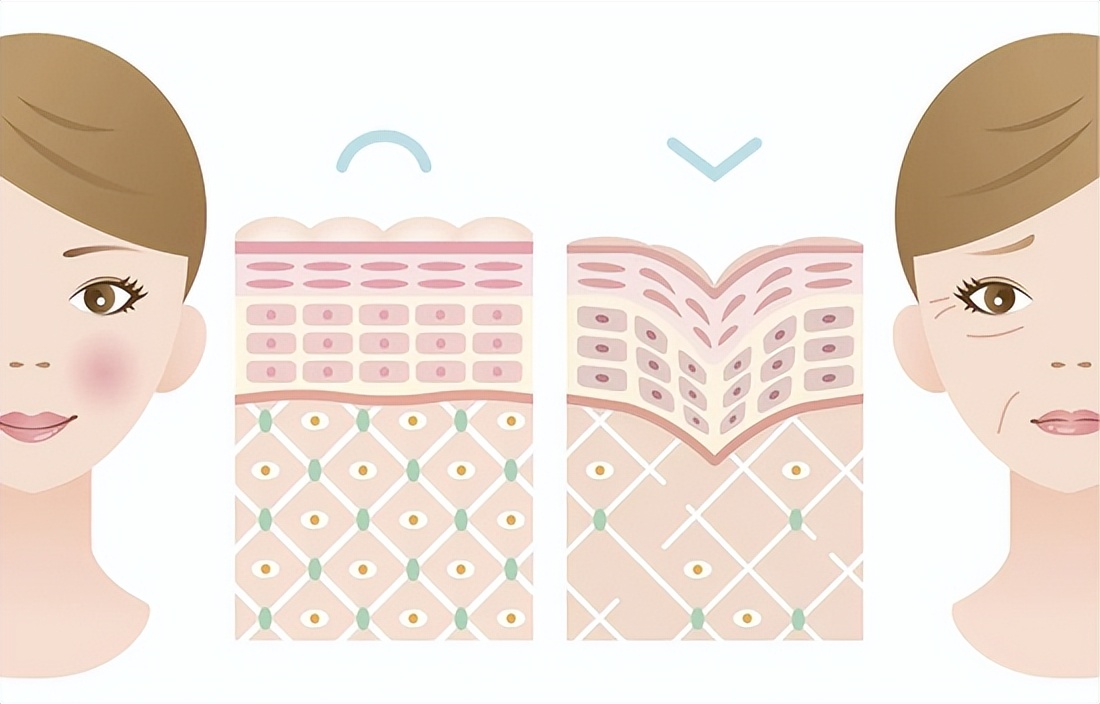 双十一应该囤什么护肤品,双十一囤货必买清单宝妈