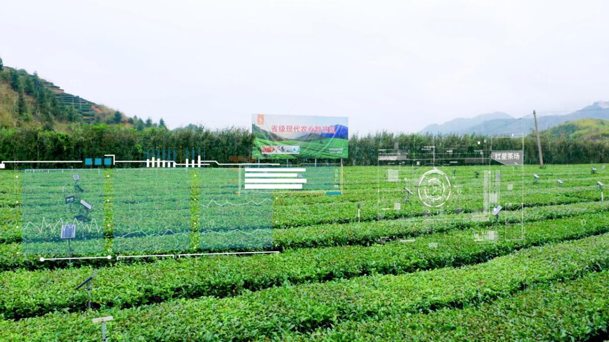 八马茶业茶叶品牌排名,比八马茶业档次高的茶企业