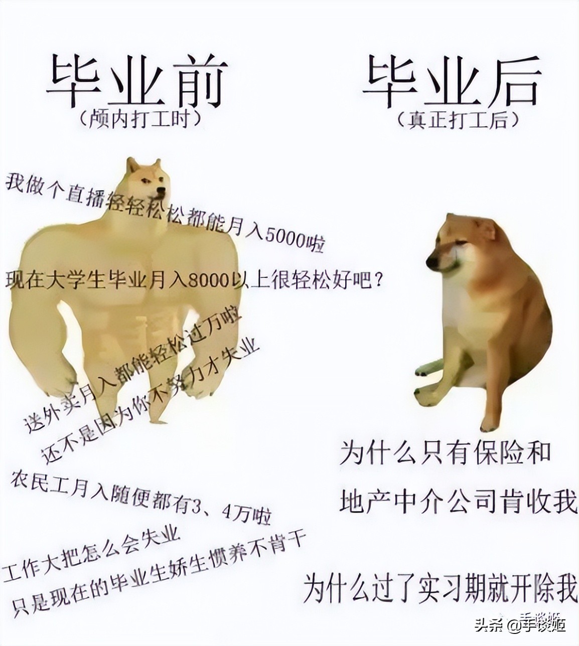 网友面试国产游戏公司，面试官让购买自家游戏+好评，随后踢走她