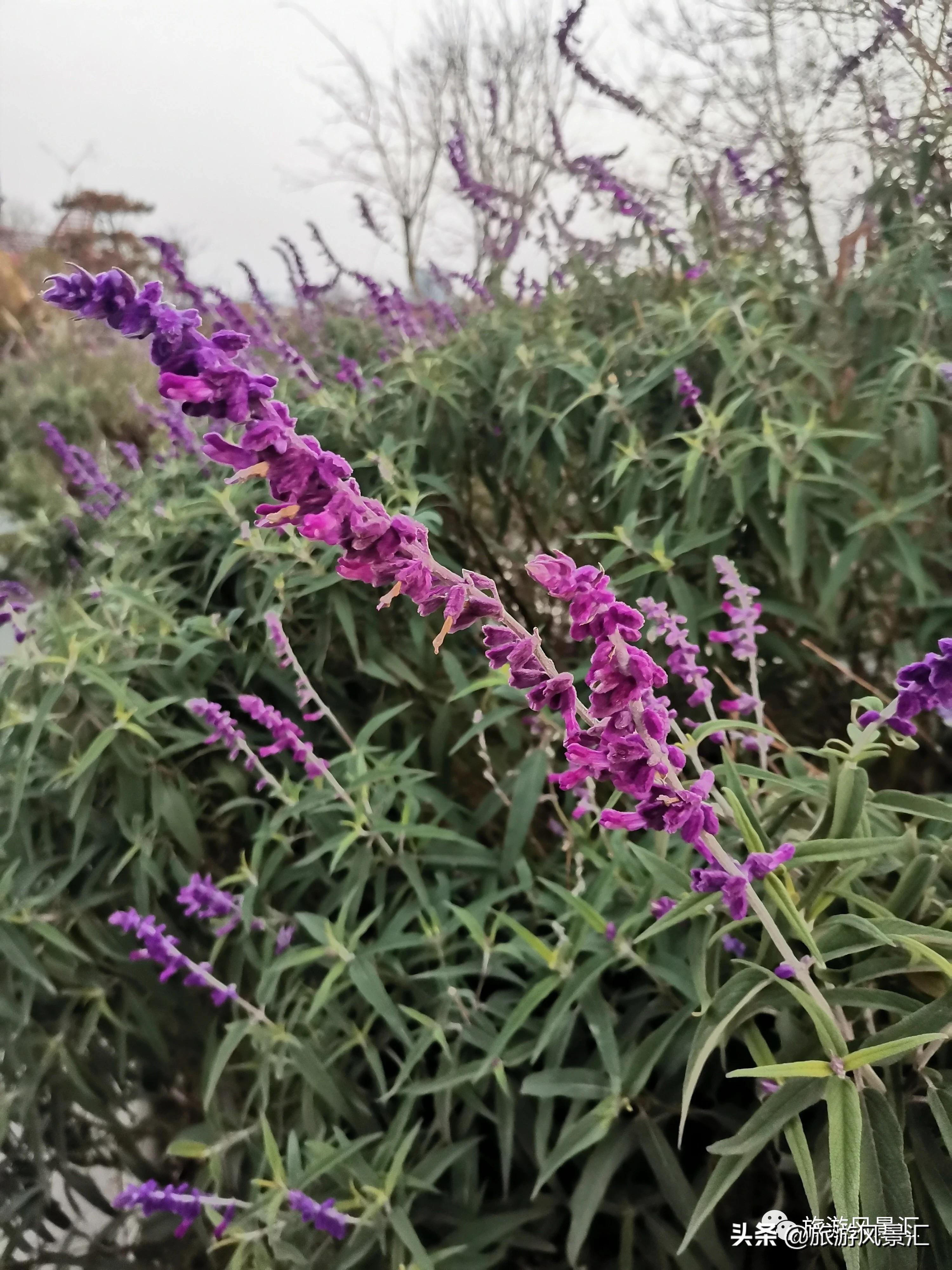 郑州带娃打卡好去处免费公园,郑州北龙湖湿地公园网红打卡圣地