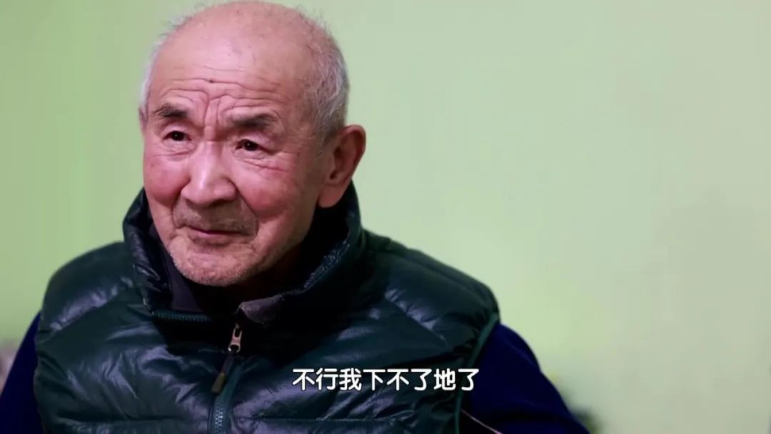 适合老人的五谷杂粮豆浆,二十种五谷杂粮豆浆食谱