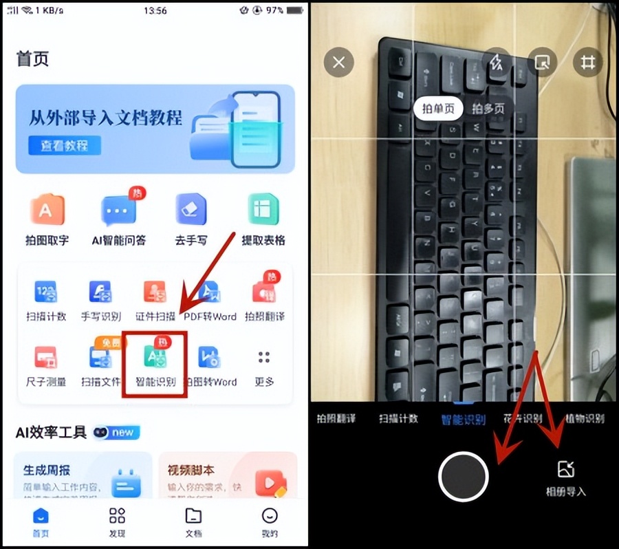 拍图识物植物app,拍照识物识别软件