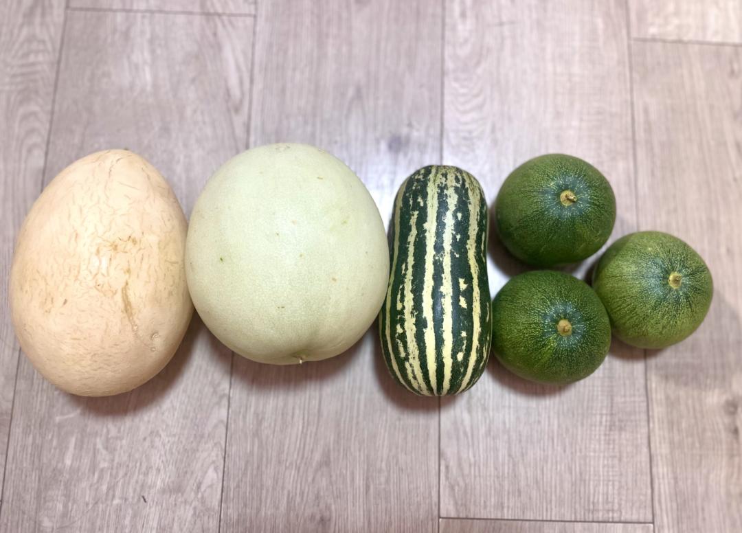 武汉美女：夏天要吃这些好瓜，藤蔓上的水果冰淇淋