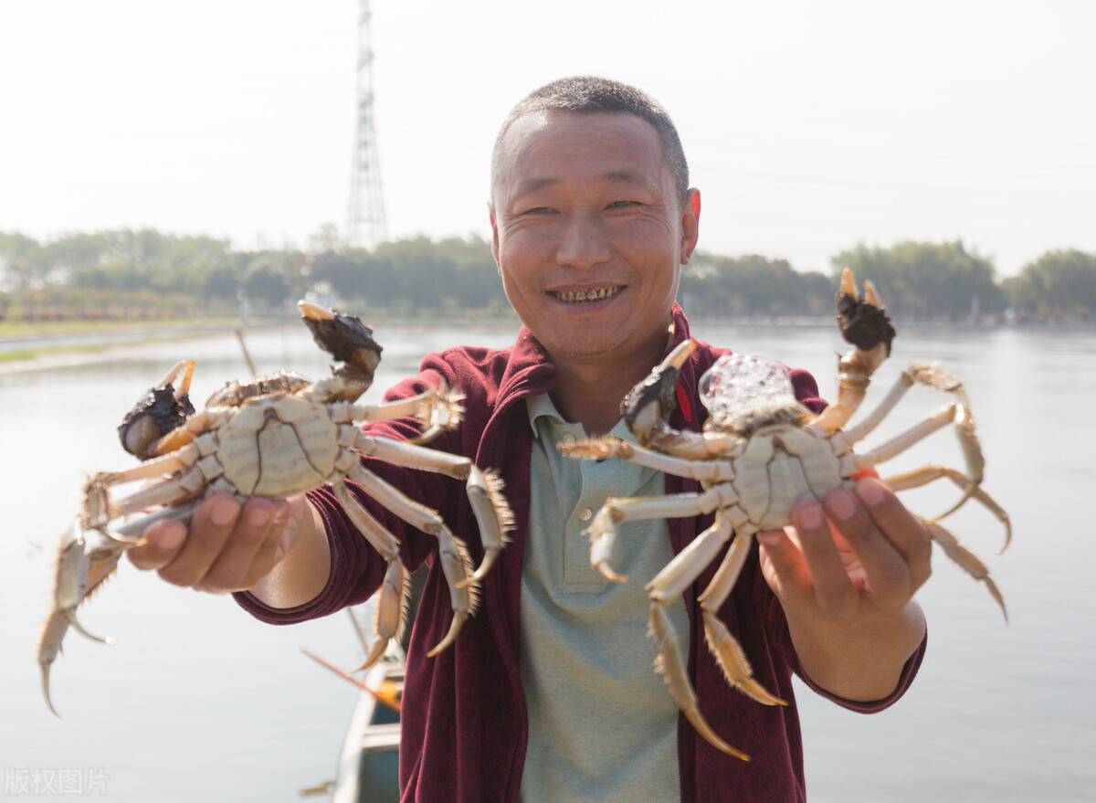 螃蟹吐泡泡是什么症状,螃蟹吐泡泡说明什么