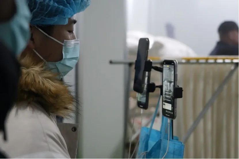 90后新农人的乡村创业路,农村创业致富三条路