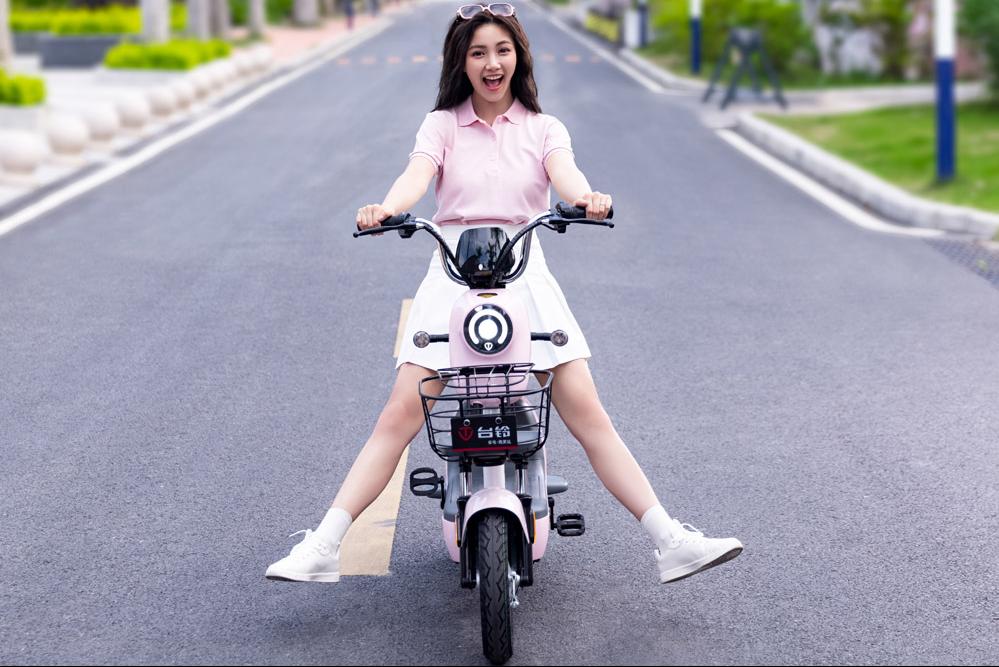 电动车要动力大跑得远应选择哪种,什么电动车电机动力好