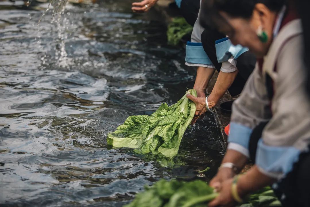 丽江一个来了就舍不得离开的地方,舍不得的丽江