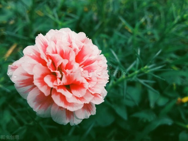 西班牙你所不知道的,西班牙冷知识大全视频