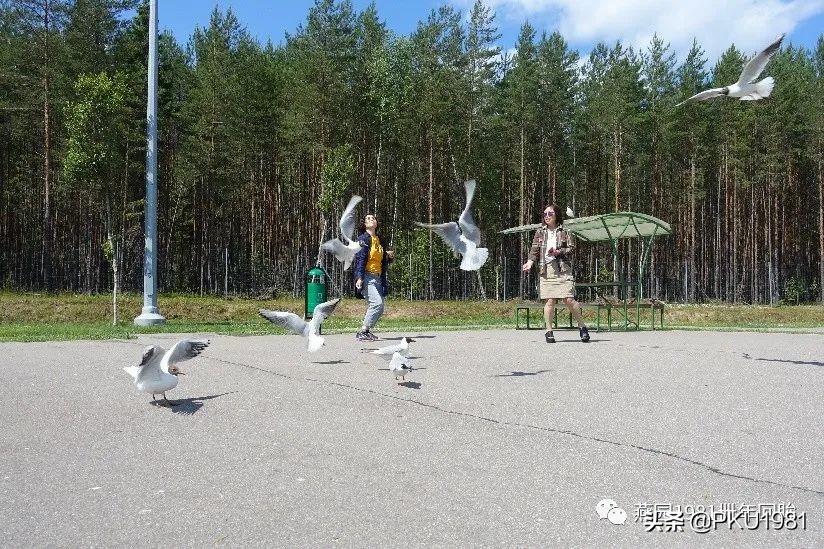 俄罗斯8天跟团游记,俄罗斯跟团旅游游记