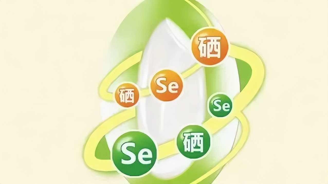 性价比高的健康大米,便宜大米营养价值