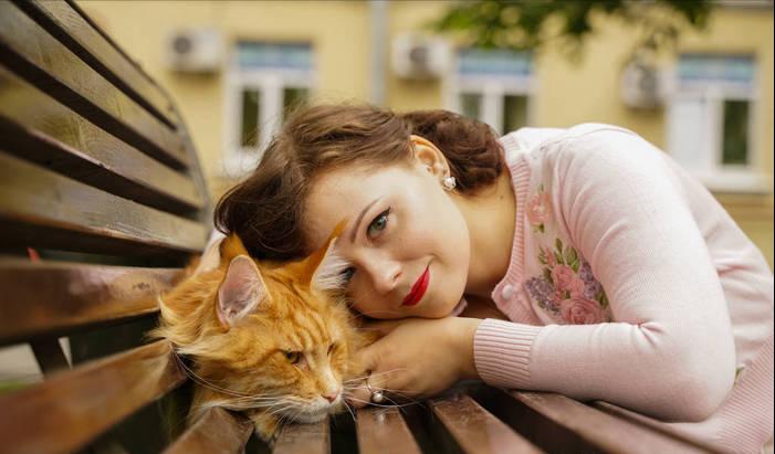 养猫产生的副作用你中招了吗,兽医对于猫的小贴士