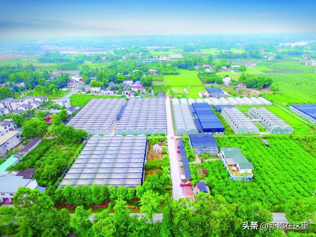 新都是一个地方吗,为啥新都马家镇不发展