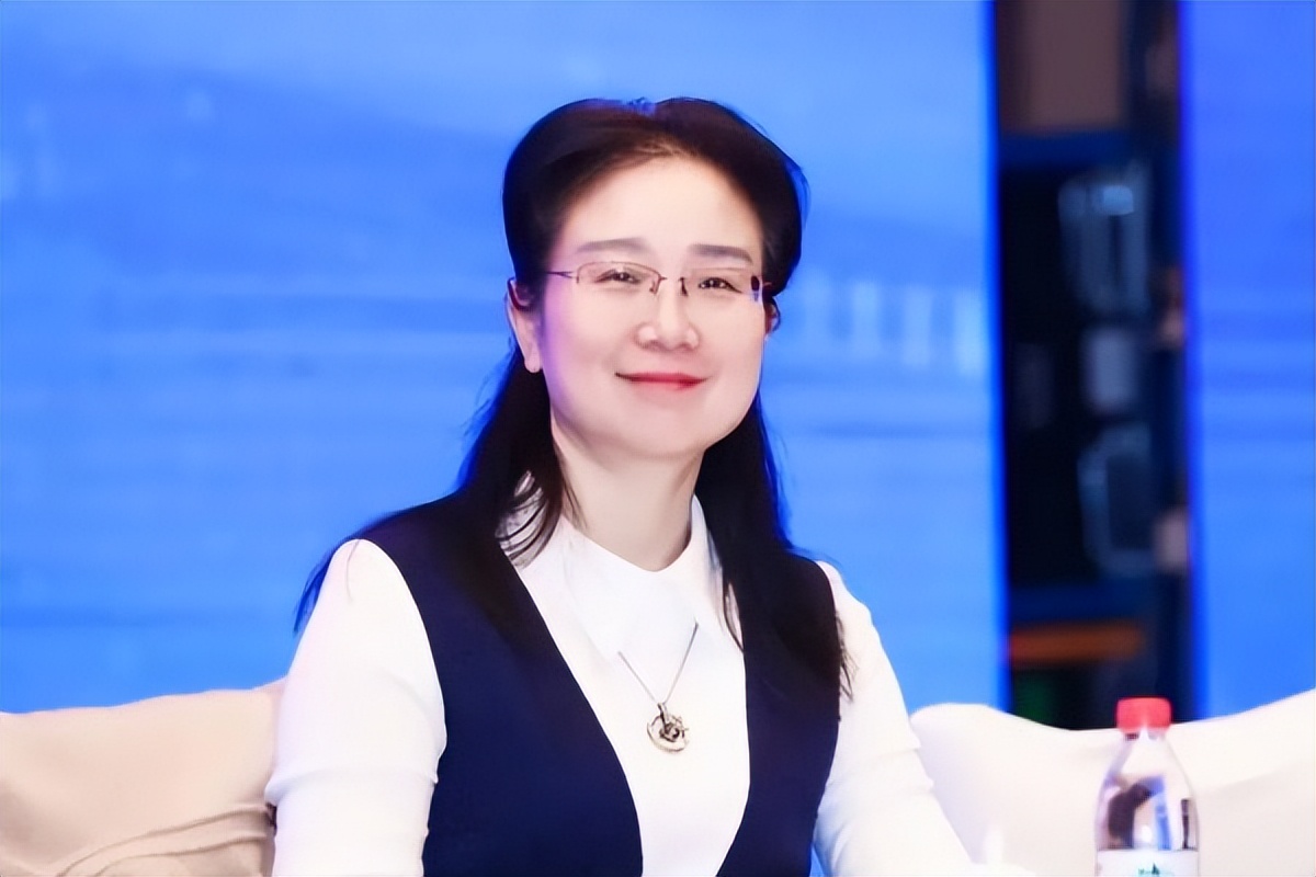 数字法治视野下的智慧司法,数字法治智慧司法