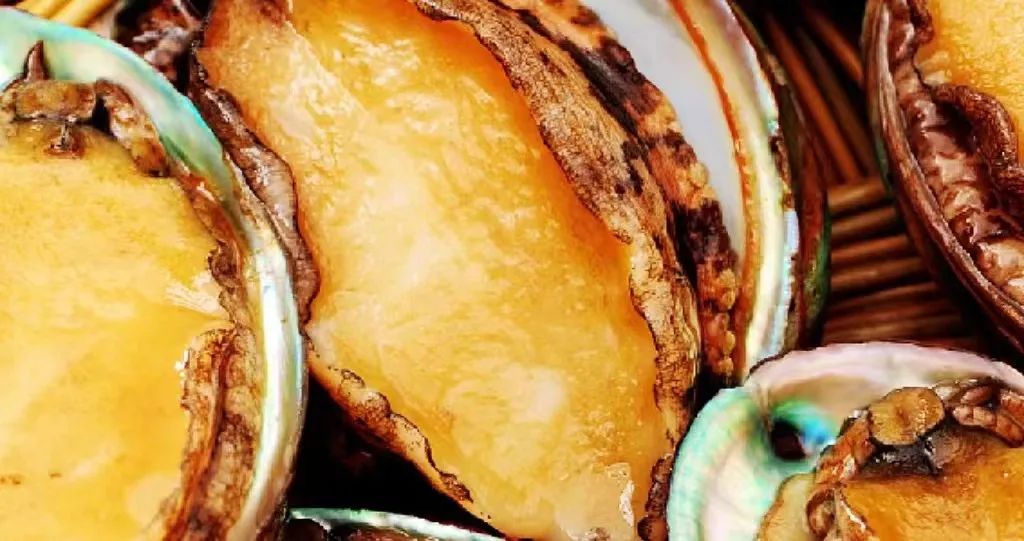 鎶ュ悕鎶栭煶鐢靛晢瀹樻柟娲诲姩濂藉,鐢宠鍔犲叆鎶栭煶鐢靛晢