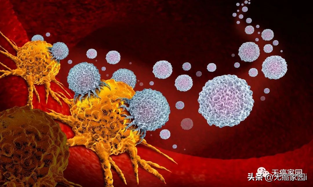 用免疫细胞杀灭癌症！TILs疗法打破实体瘤治疗瓶颈，有望年底上市