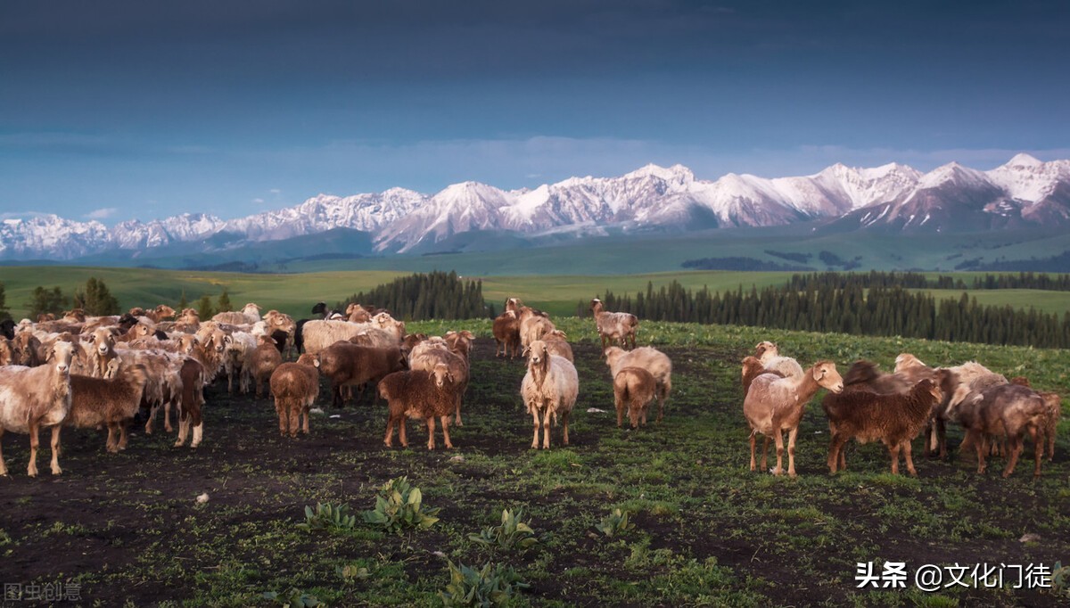 喀拉峻大草原导游词,喀拉峻草原导游词1000字
