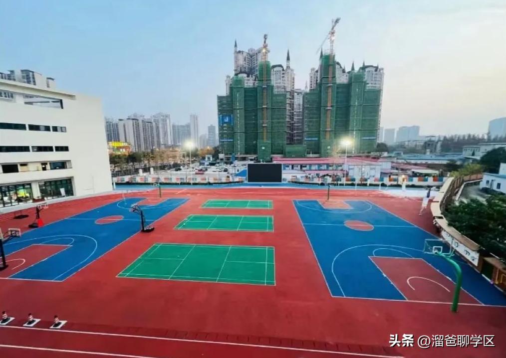 提前一年落户能读桂雅路小学吗,提前一年落户的学校