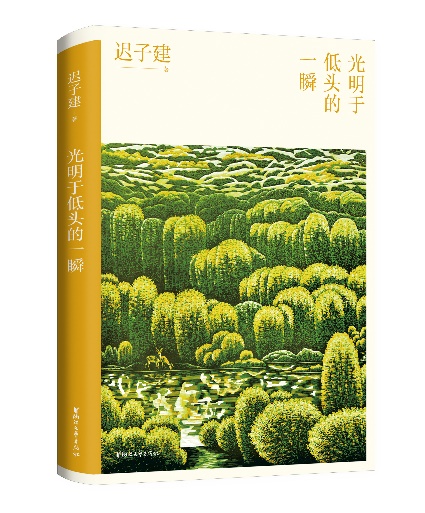 迟子建小说的爱的主题,迟子建的散文爱