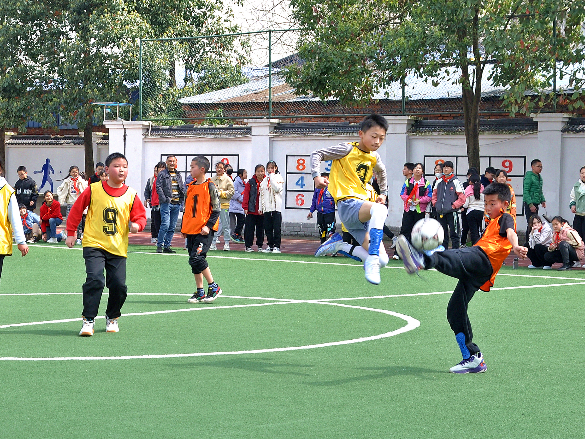 绿茵场上的精彩,绿茵驰骋足够精彩