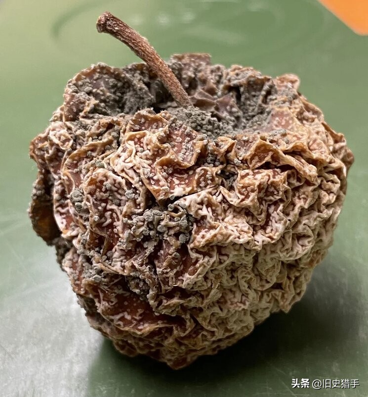 20张照片霉霉,25张令人震惊的图片