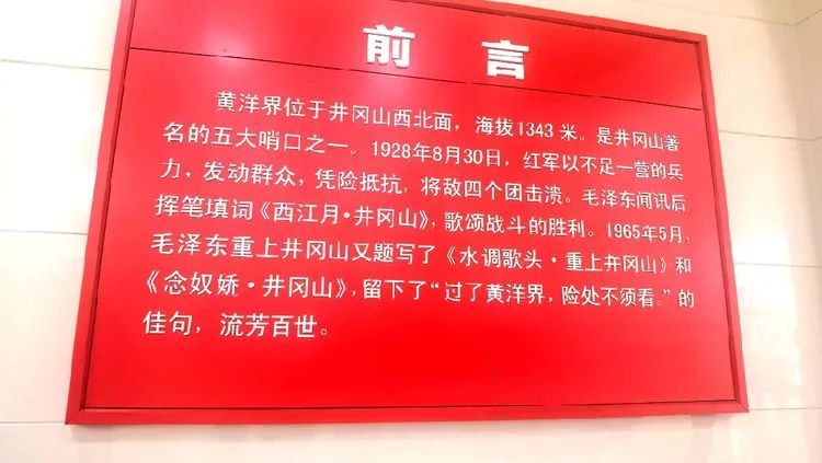 哈雷车主会福州分会,哈雷hog车主会八周年庆典巡游