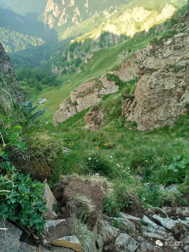 小五台山金莲花坡,小五台金莲花