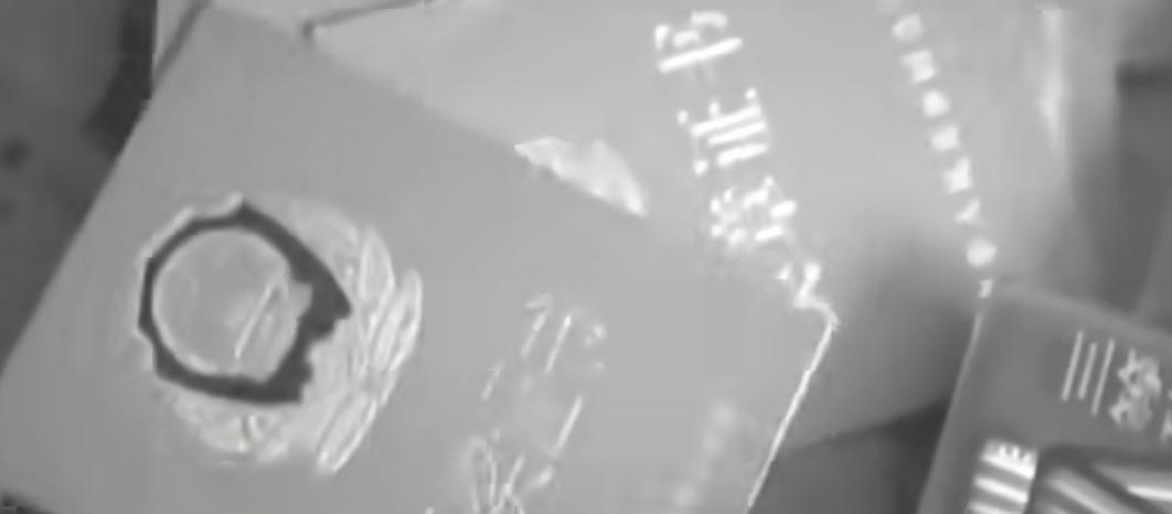 *底卧**刑警被迫吸毒沦为阶下囚，是否该得到补偿？*底卧**真需要染毒吗