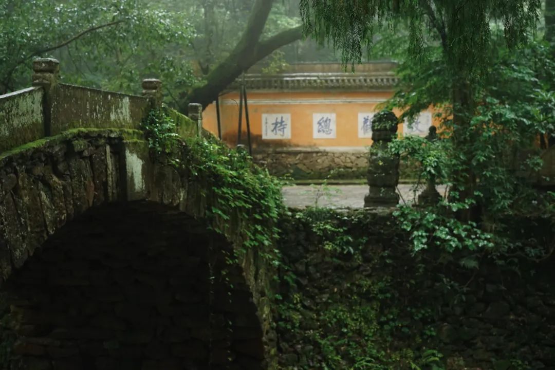 火热的周边游喂饱了本地生活,划算的周边游