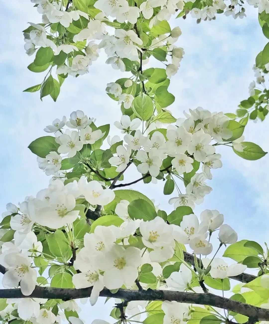 松原查干湖旅游三日,松原查干湖五一旅游团