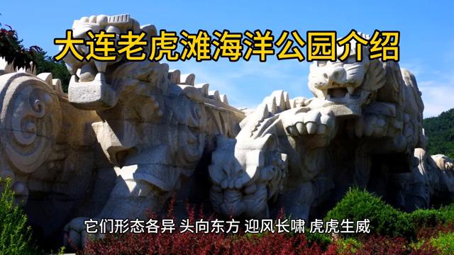 大连老虎滩海洋公园极地馆,大连老虎滩海洋公园老年票