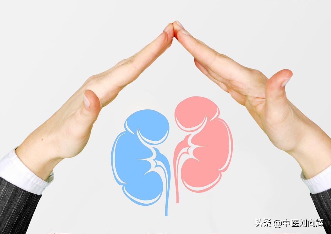 年轻人保肾养肾方法,强肾最好的自我调养