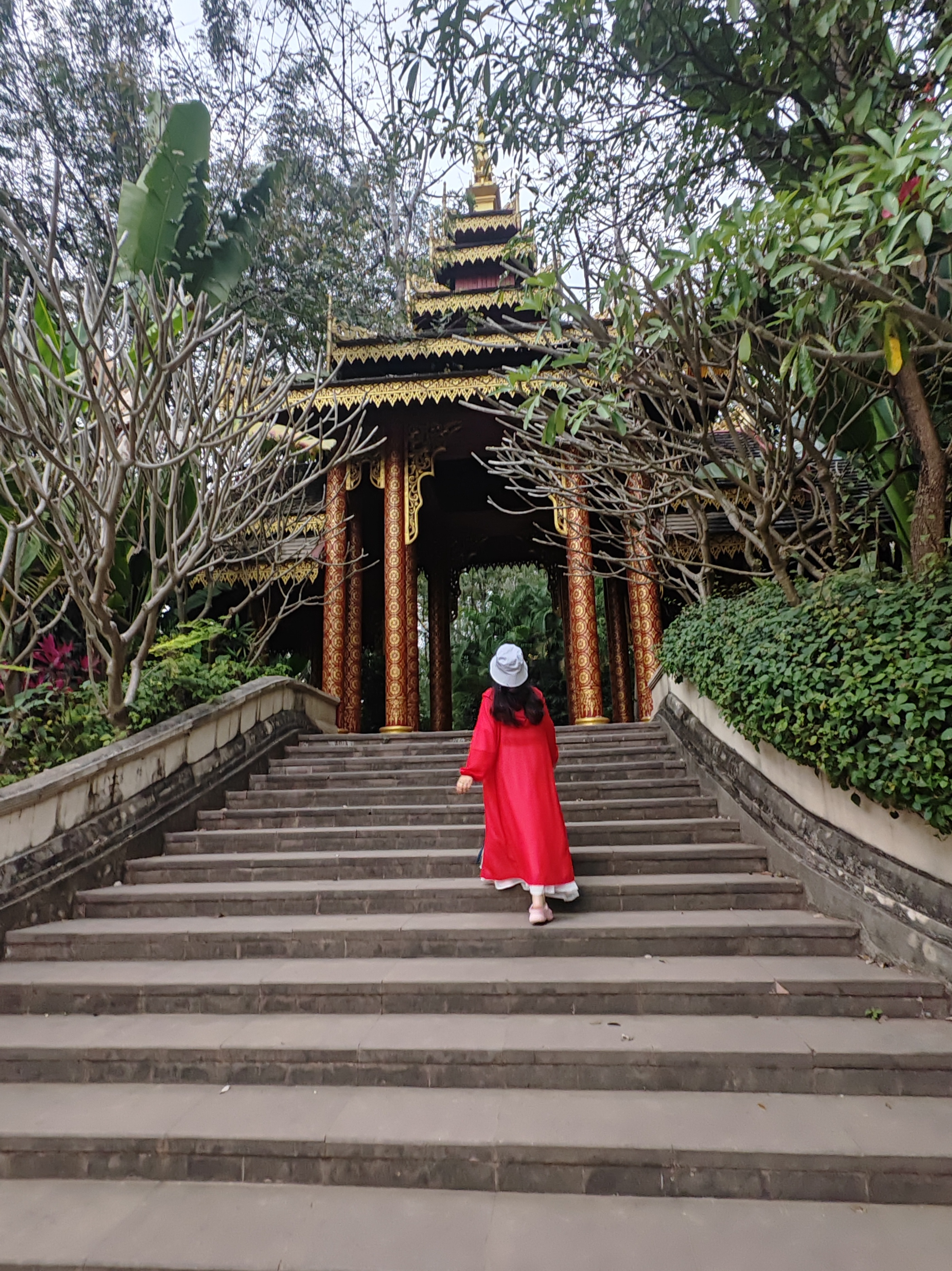 西双版纳曼听园攻略,云南西双版纳打卡曼听公园