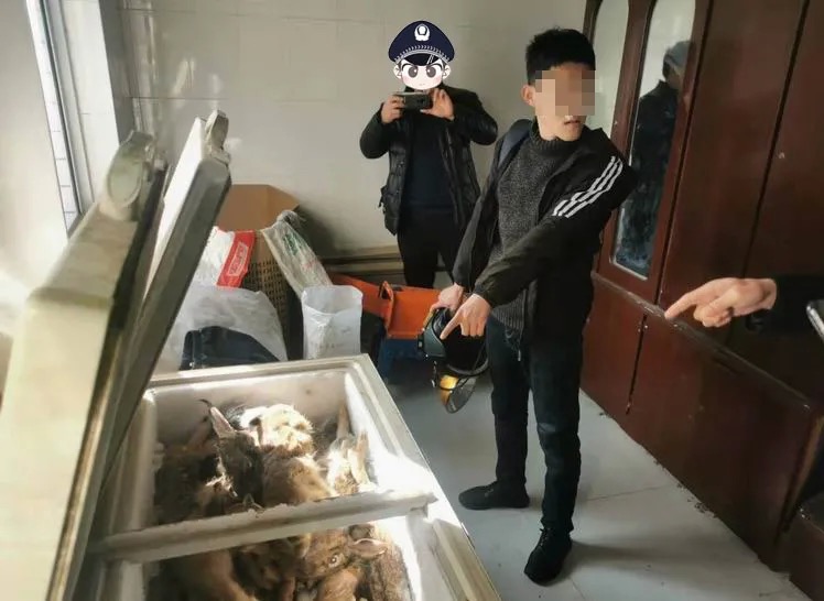 抓野兔被抓怎么处罚,男子抓野猪被民警抓