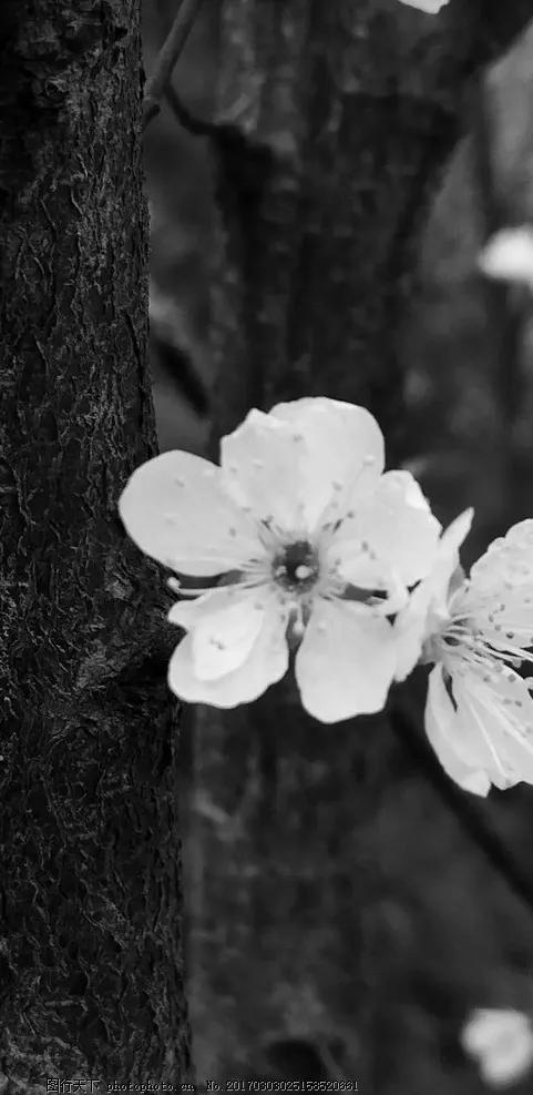 黑暗系的壁纸文字,黑暗色系的壁纸