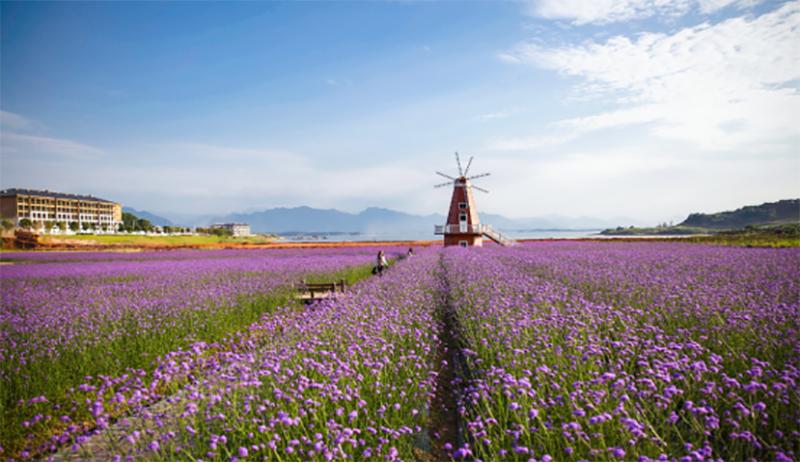 庐山西海景区日接待量最大多少,庐山西海景区司马旅游码头
