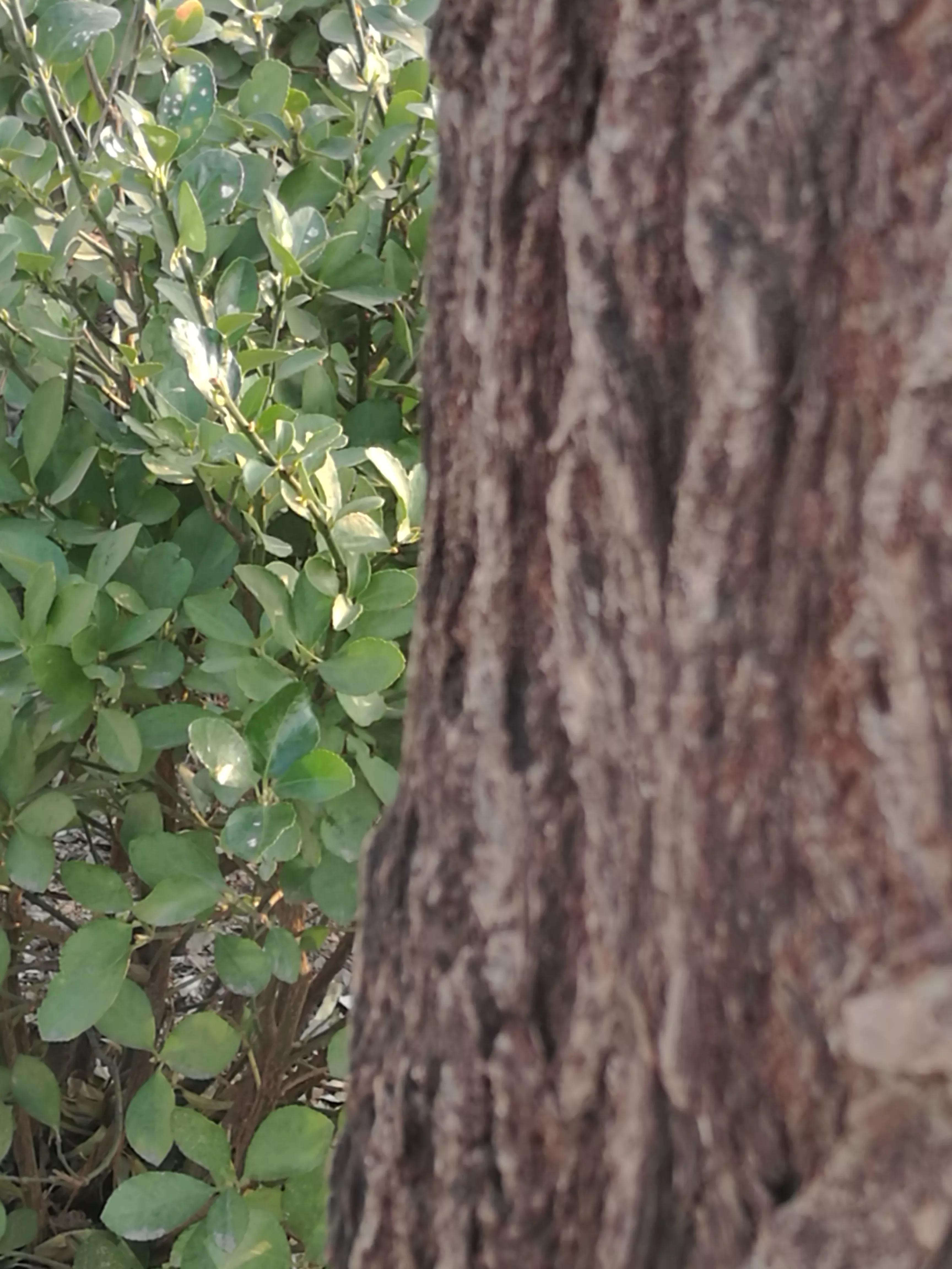 论学问全文翻译,论学问知识点