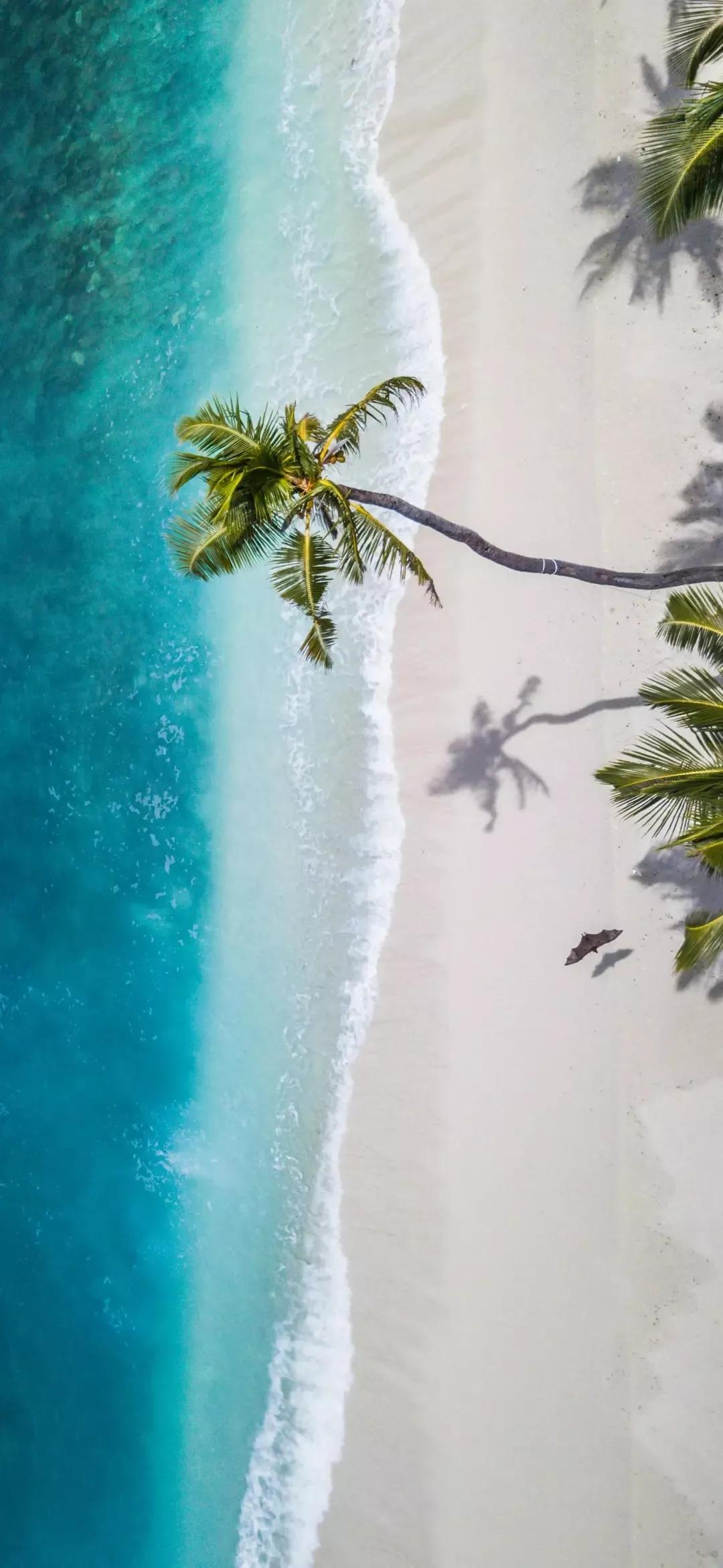 大海壁纸｜大海边，守候朝霞，聆听海浪的乐章