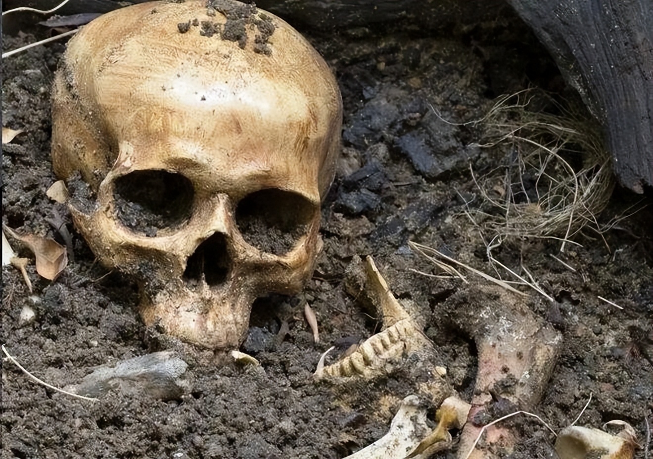 直播卖人骨？22岁美国网红大学生遭网友谴责，家里堆满上百具遗骸