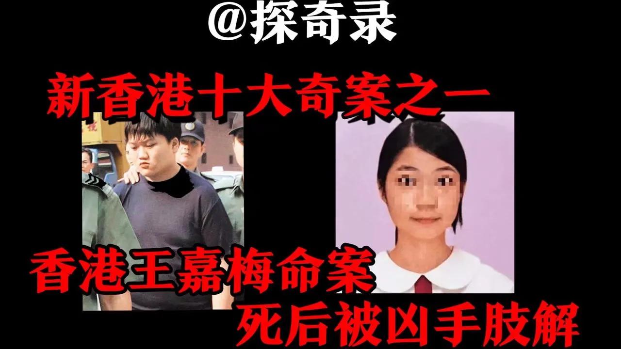 蔡天凤案件被杀全过程,蔡天凤分尸案细节公布