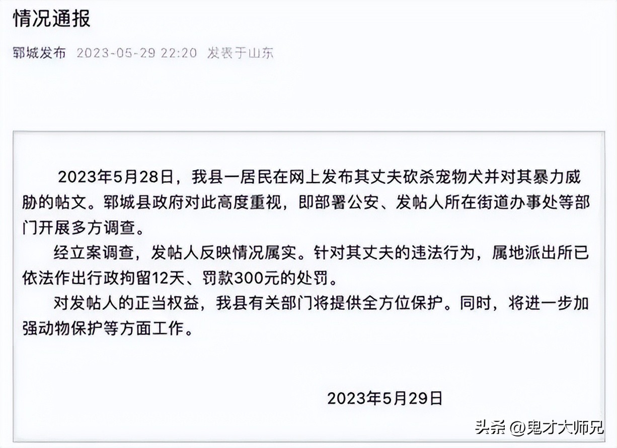 丈夫砍杀柯基暴力威胁妻子,砍杀柯基威胁妻子