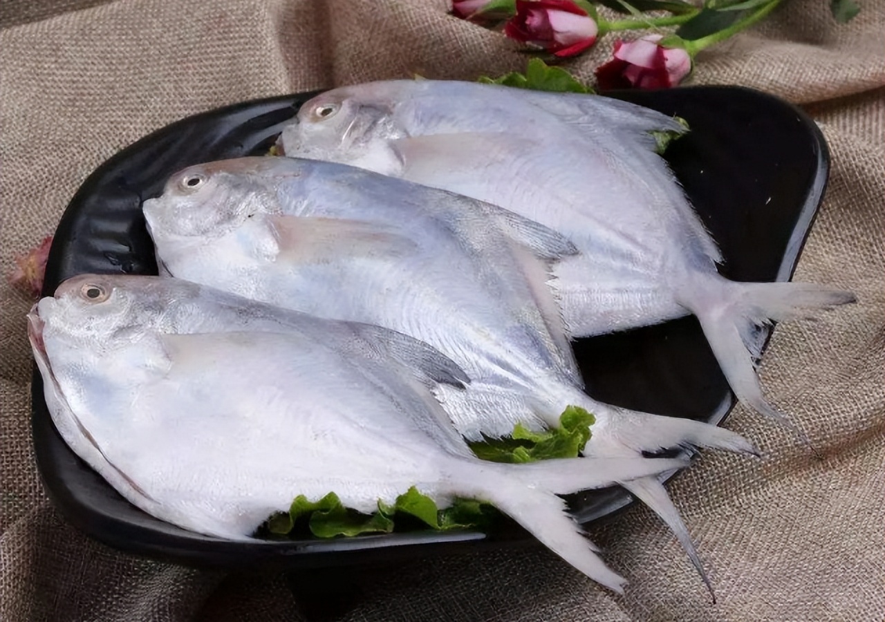肉多刺少的海鱼有哪些,10种便宜好吃刺多的海鱼