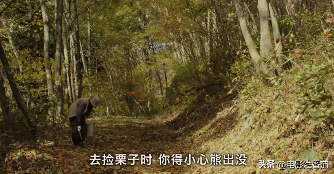 豆瓣9.0，日本乡间简素的一餐一饭，治好了无数人的“精神内耗”