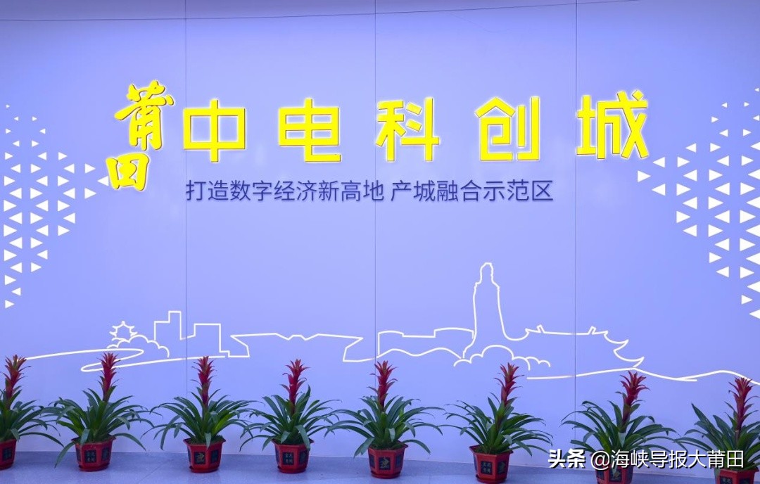 “十好城厢直播嗨购”|“投资好环境”专场直播圆满结束