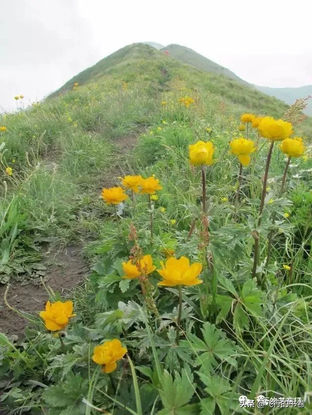 涅盘重生炒股实盘记录2020,11.11实盘炒股每日记录