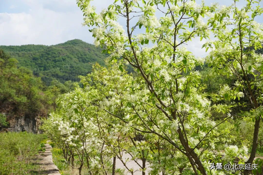 点绿成金视频,点绿成金工程