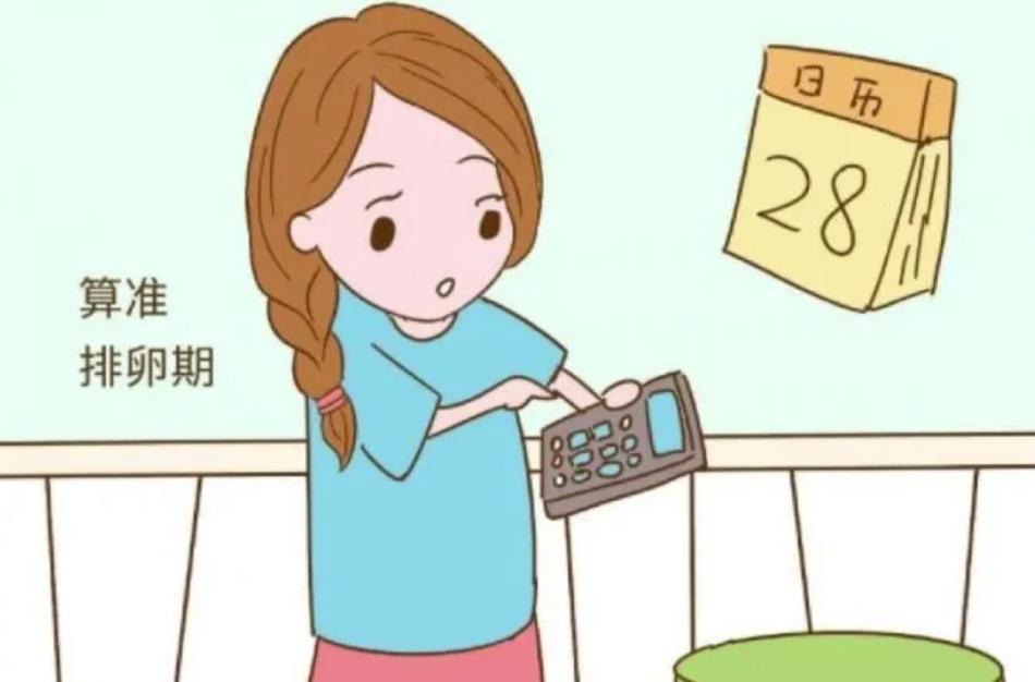 备孕在家怎么测,备孕自己在家怎么测排卵试纸