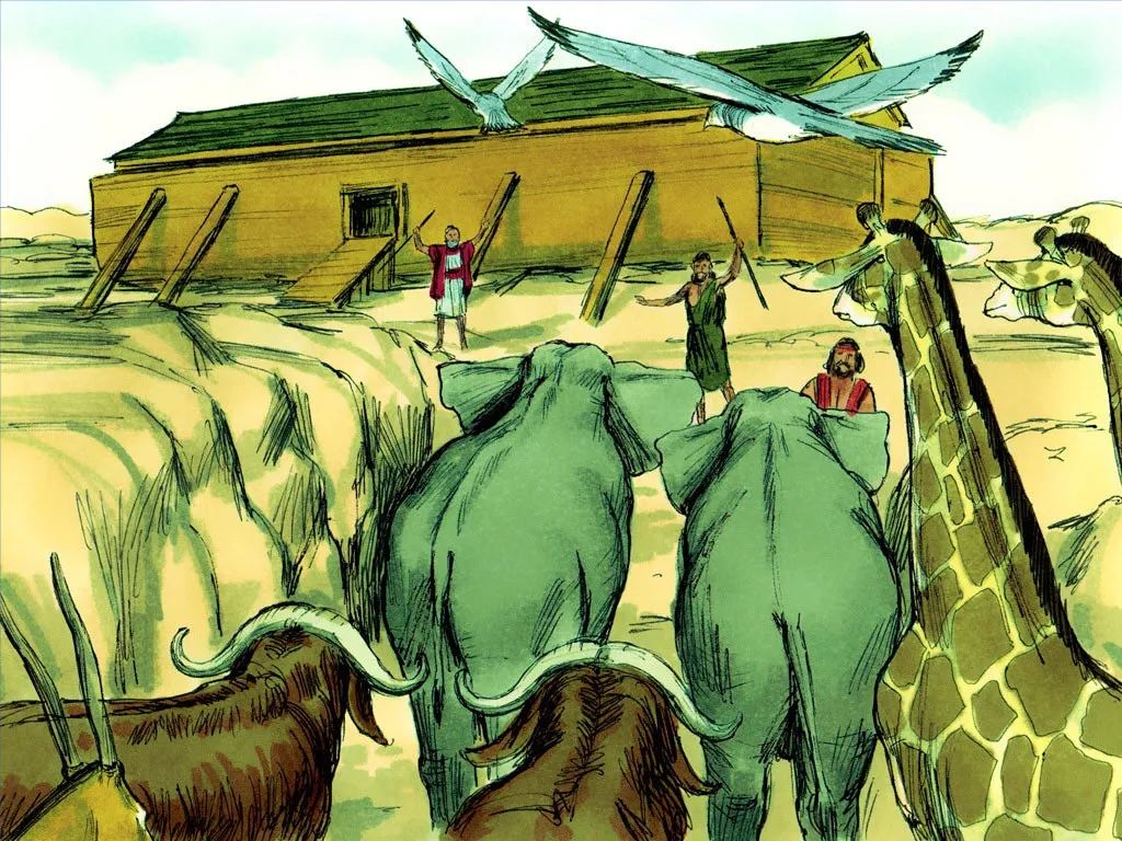 诺亚和方舟图片,诺亚一家造方舟