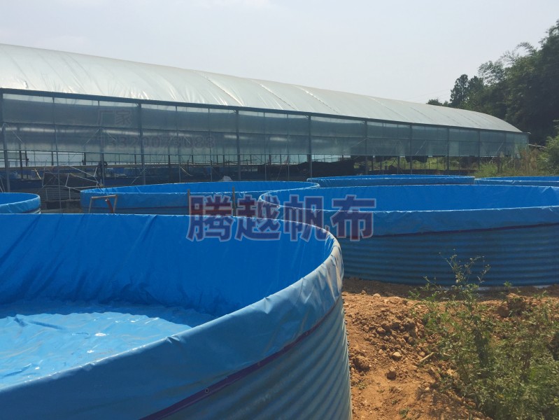 鱼池漏水怎么修补最好,鱼池浇好侧面渗水怎么办